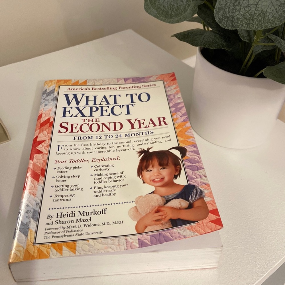 What to Expect the Second Year by Heidi Murkoff book
